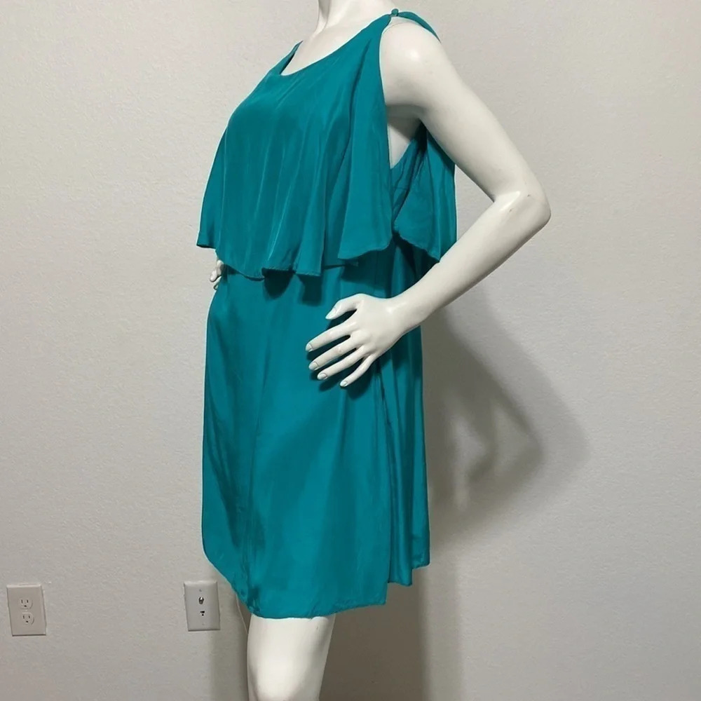 Annie Griffin Silk Mini Dress - Picture 2 of 5